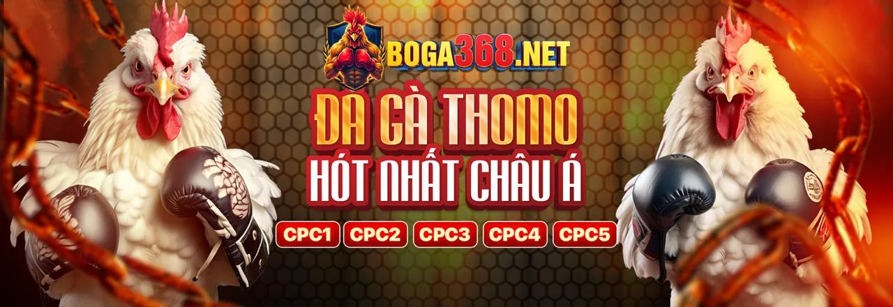 Vabet 2026: Ưu đãi hấp dẫn và vabet đăng nhập